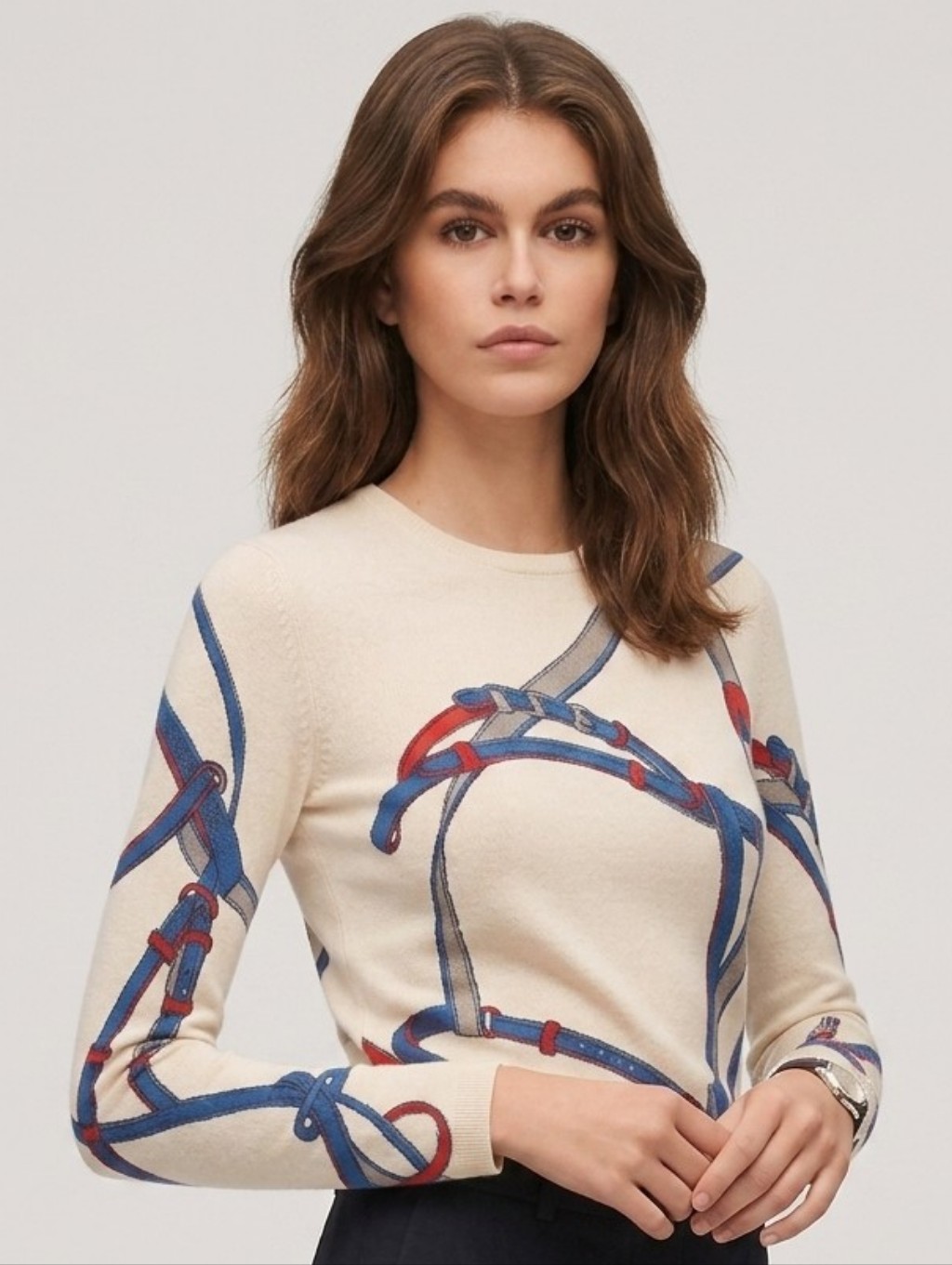J. Mclaughlin Vintage Cream Crewneck Sweater With Blue And Red Bridle Print
